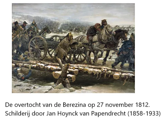 Een Ardenner, gespierd trekpaard, in de weide