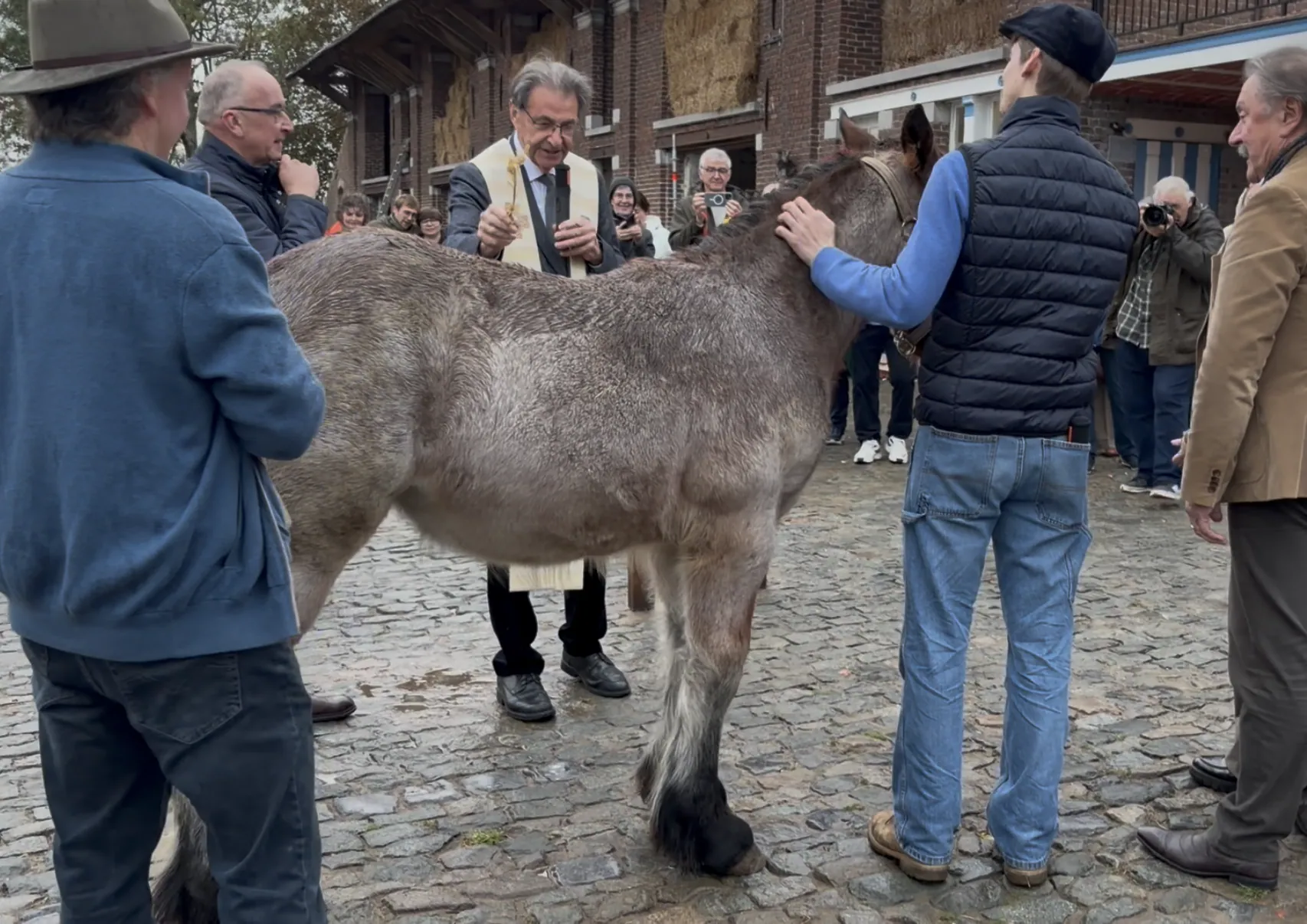 Oud landbouwalaam op de binnenkoer van de stoeterij