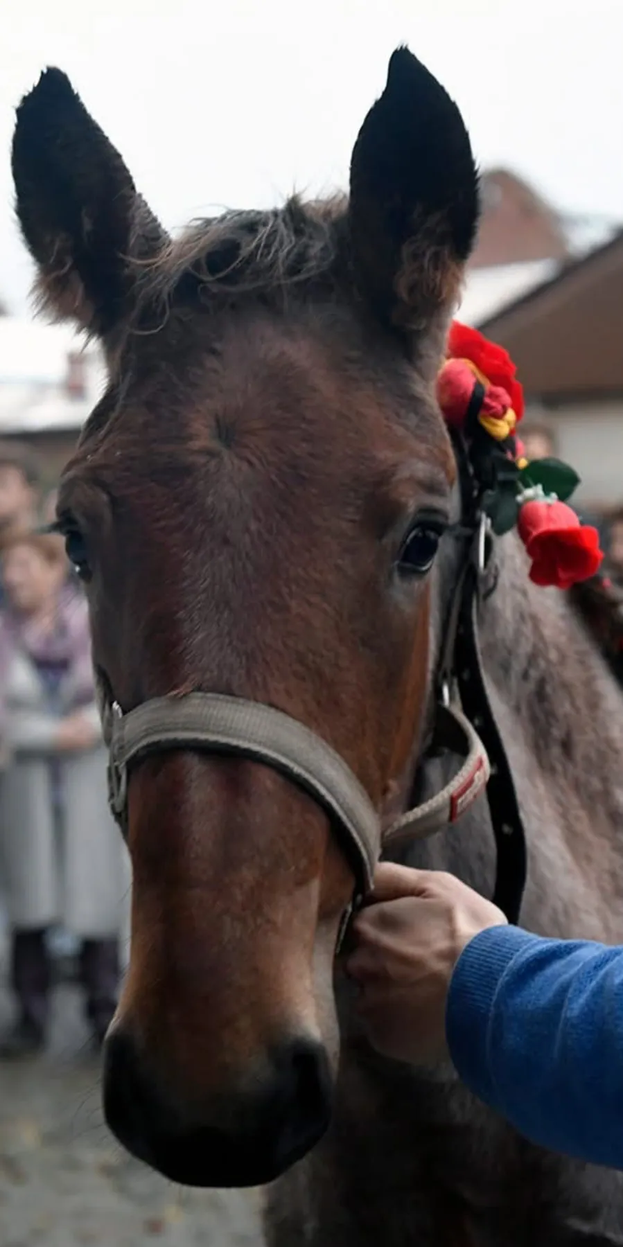 Fleur op haar doopdag