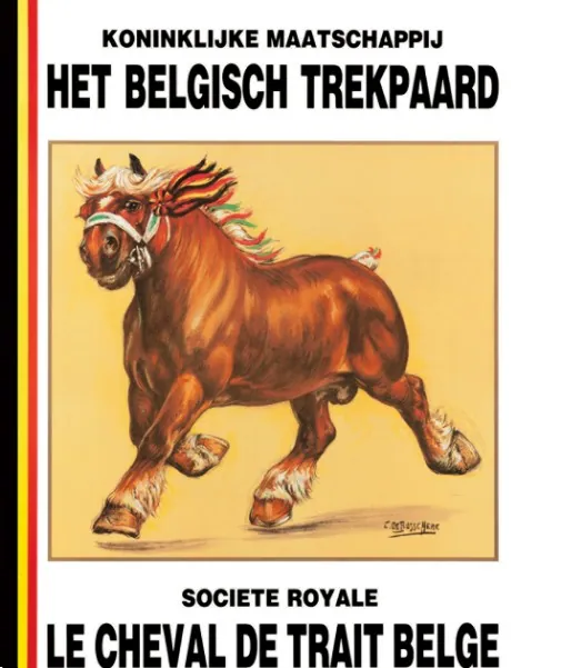 Affiche van het KMBT met de hengst Brillant