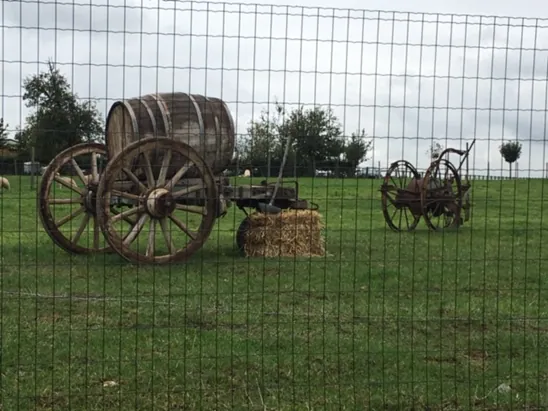 Antieke houten mestkar met ijzerbeslag op Haras de Vollezeele