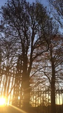 Zicht vanuit de siertuin op de kerk van Vollezele