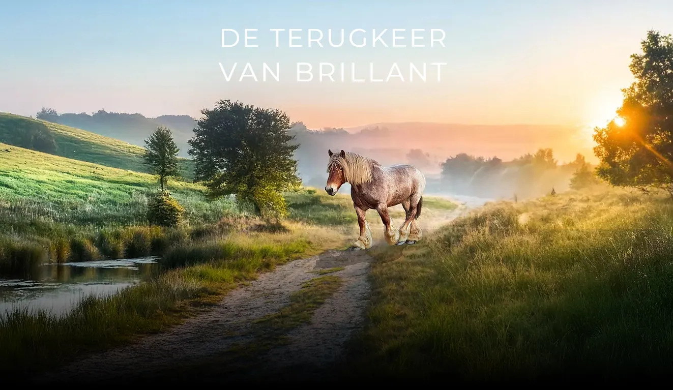 Hilse De Groote onderweg met haar Belgisch trekpaard tijdens 'De terugkeer van Brillant'