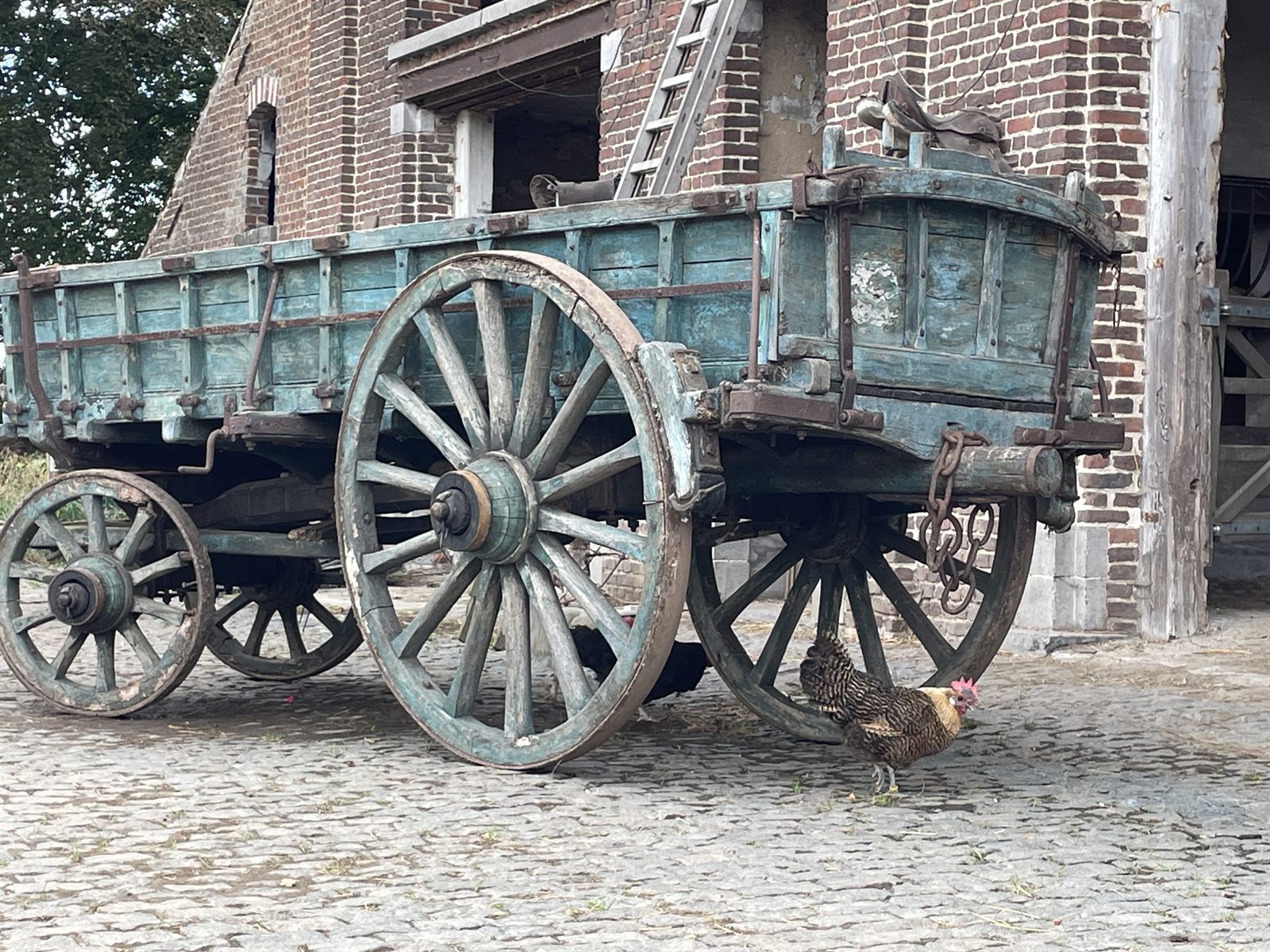 Antieke blauwe houten hoogkar op de kasseien van het erf, met scharrelende kippen