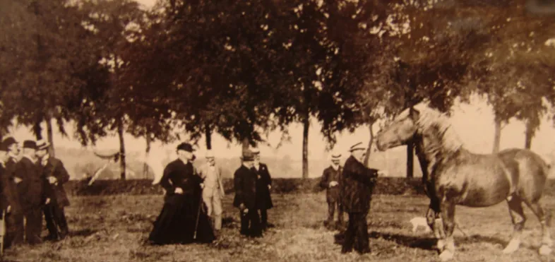 Priester Aloïs Walgrave, pastoor te Vollezele
