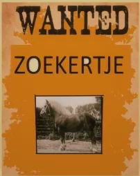 Oproep om trekpaardgerelateerde stukken te bezorgen aan de stoeterij
